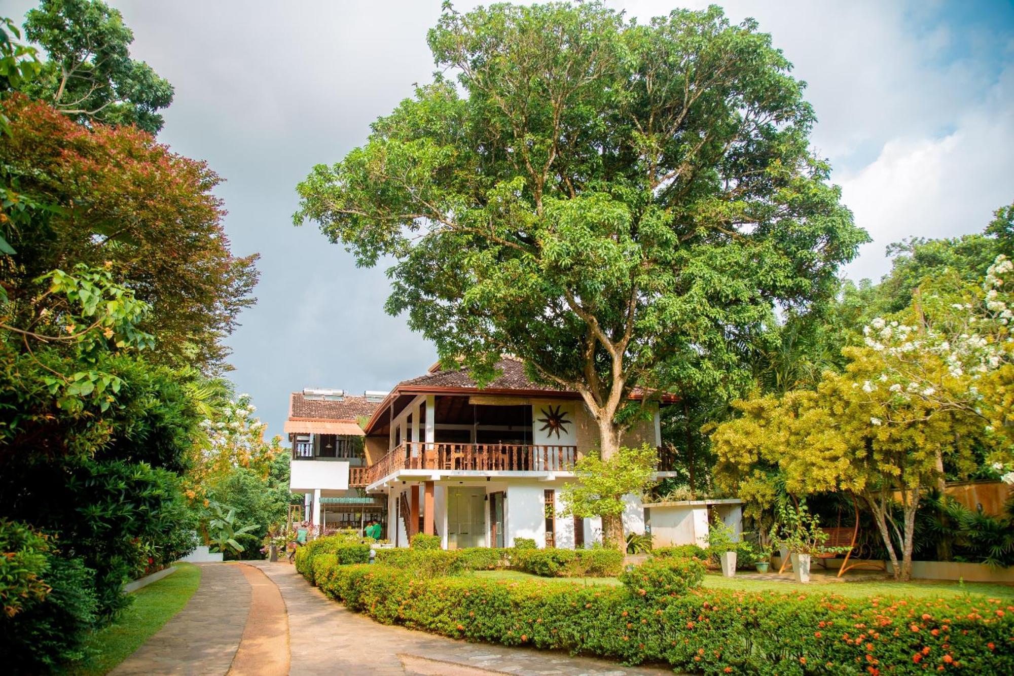 Rockery Villa Ayurveda Bentota Esterno foto
