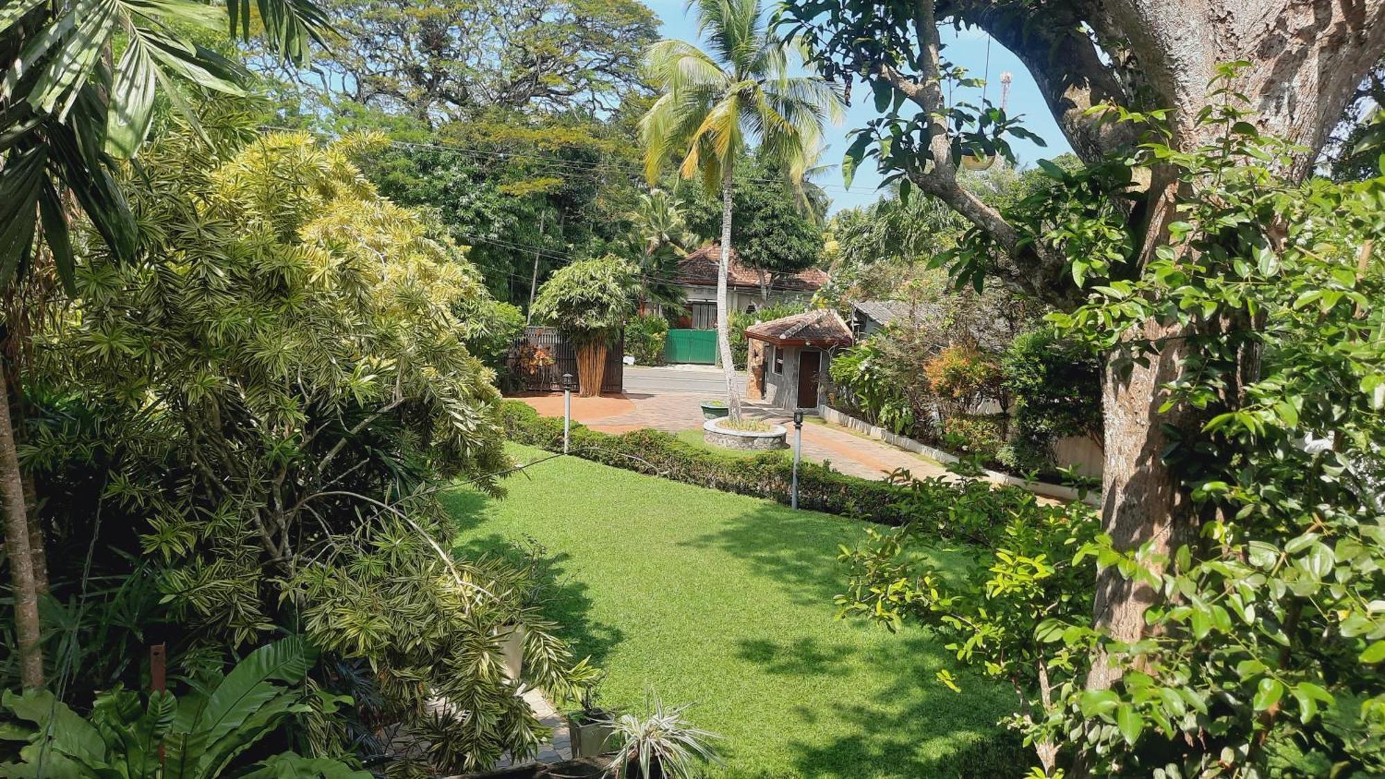 Rockery Villa Ayurveda Bentota Esterno foto