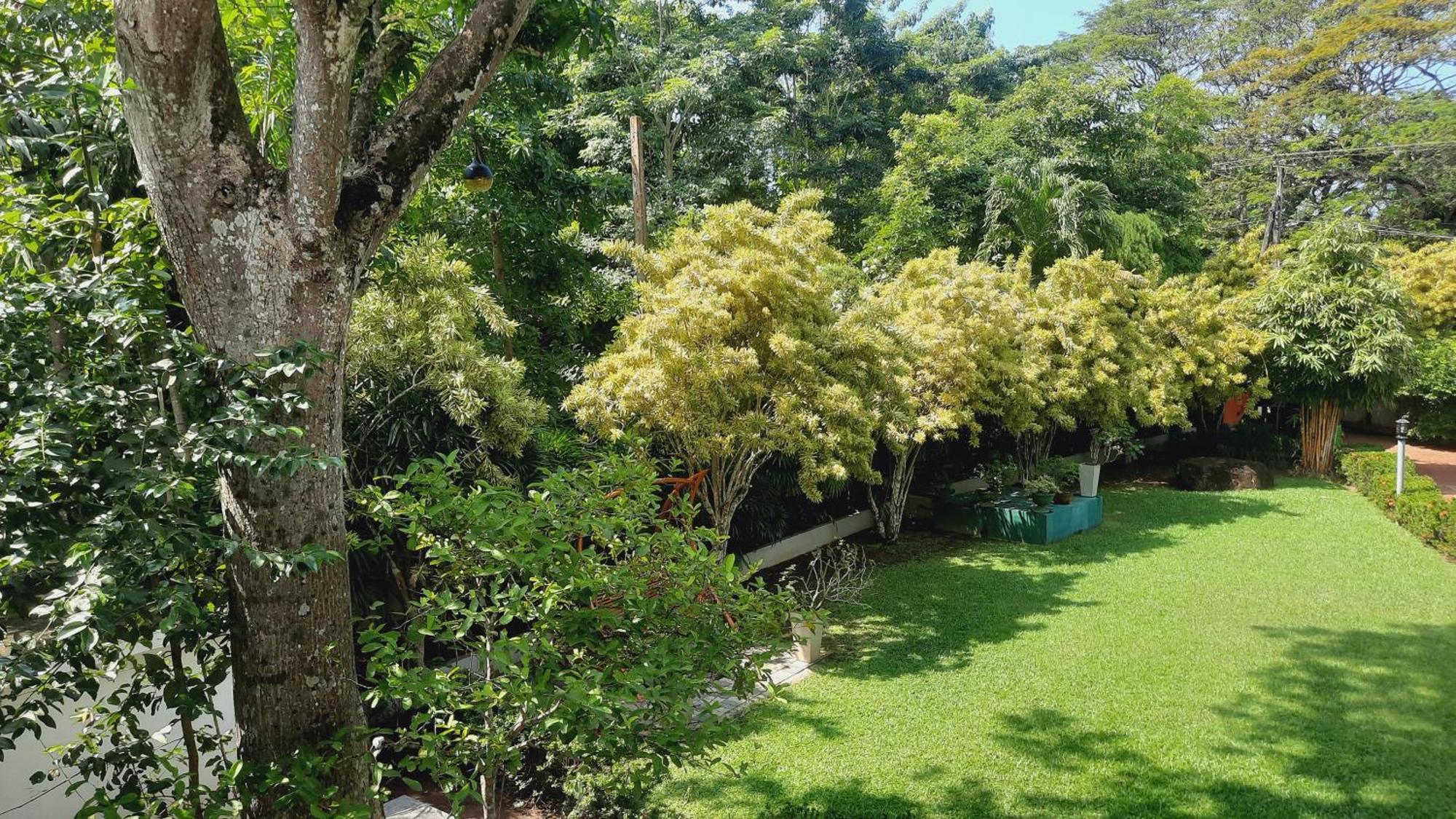 Rockery Villa Ayurveda Bentota Esterno foto