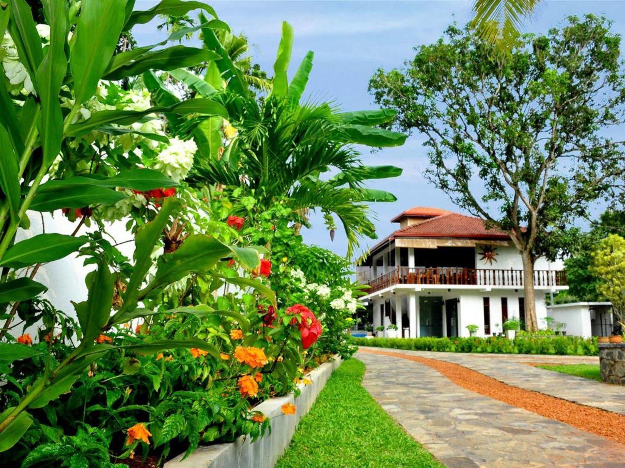 Rockery Villa Ayurveda Bentota Esterno foto